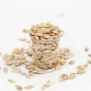 Wheatgrass Seeds - Spelt Organic Grain