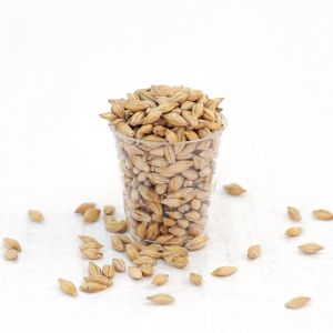 Barley Organic Grain