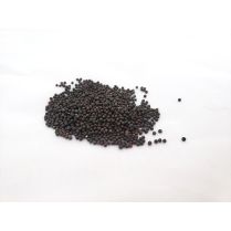 Broccoli CALABRESE Organic Seeds 