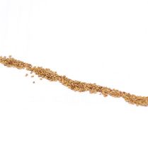 Alfalfa Organic Seeds