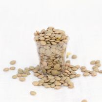 Green Lentils 500g - Organic