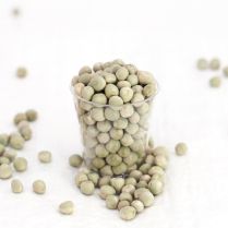 Snow Pea Organic seeds for Sprouting or Microgreens