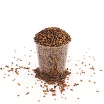 Rocket Organic seeds