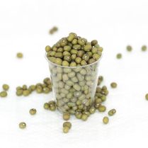 Mung Beans 500g - Organic