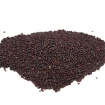 Broccoli Organic Seeds