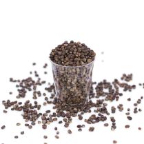 Sango Radish Orgainic seeds