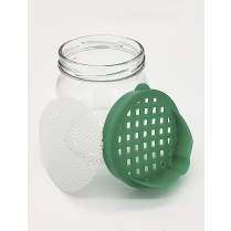 Sprouting Jar
