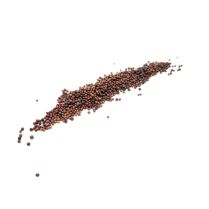 Kale Organic Seed 100g