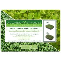 'Grow Your Own' Organic Living Greens Kit from Aconbury
