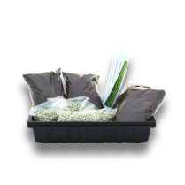 'Grow Your Own' Organic Snow Pea Shoots Kit from Aconbury