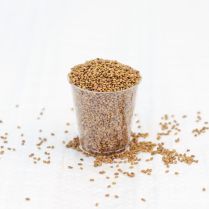 Aconbury Organic Mixed Pulses For Sprouting - 500g Bag (Mung Beans, Chickpeas, Lentils)