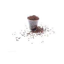  Kale Organic Seed