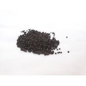 Broccoli CALABRESE Organic Seeds 