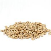 Barley Organic Grain