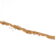 Alfalfa Organic Seeds