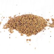 Clover Organic seeds
