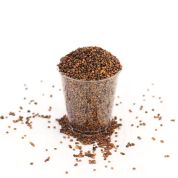 Rocket Organic seeds