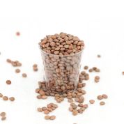 Brown Lentils 500g - Organic