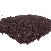Broccoli Organic Seeds