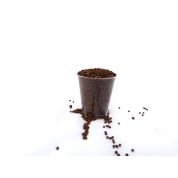 Red Cabbage Seed 100g - Organic