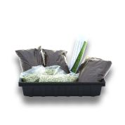 'Grow Your Own' Organic Snow Pea Shoots Kit from Aconbury