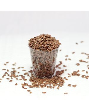 Flax Organic Seeds
