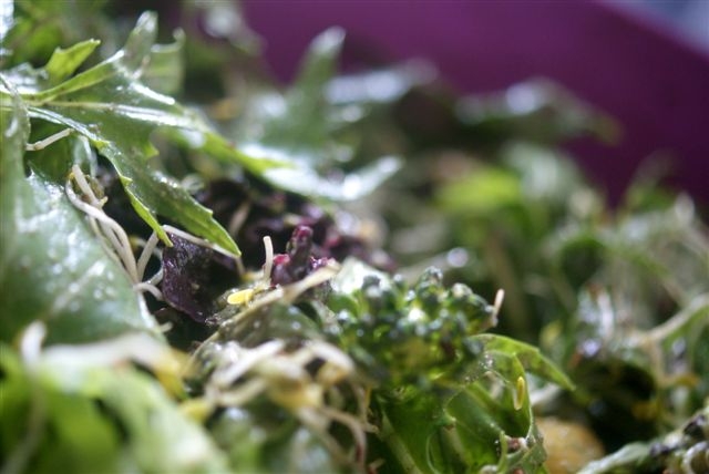 Kate Magic's Rockin’ Broccoli Salad