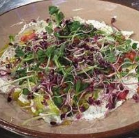 Labneh with pomegranate, sprouted seeds and shoots