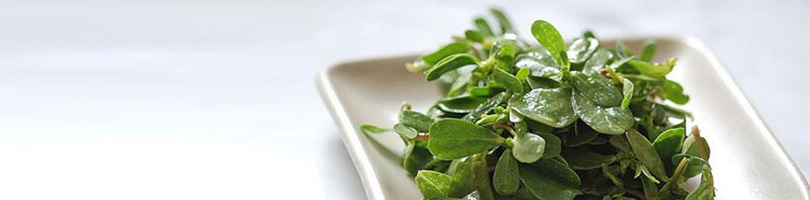 Purslane, Sunflower Greens and Fennel Salad